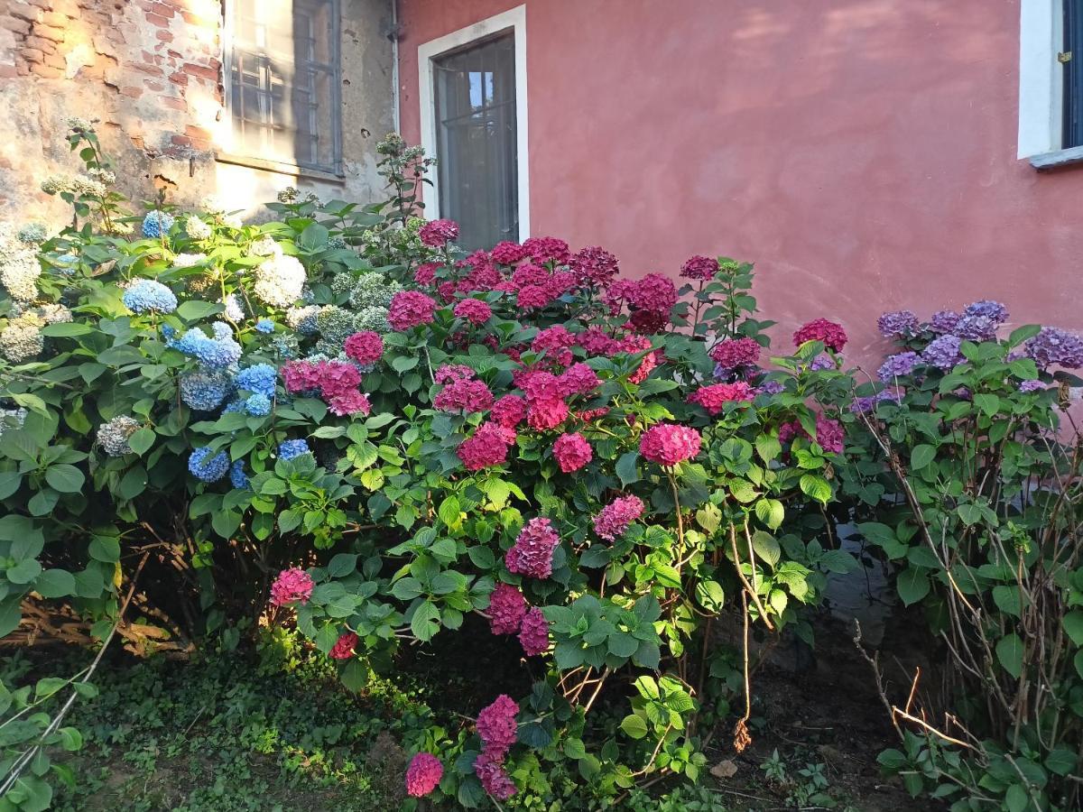 A Romantic Suite In The Countryside Near Torino Pecetto Экстерьер фото